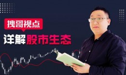 老安撕家爆料视频大全,揭秘家庭生活趣味瞬间